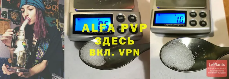 закладки  Бабушкин  Alfa_PVP СК 